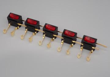 5H Neon Double-Pole Multi-gang integral switch