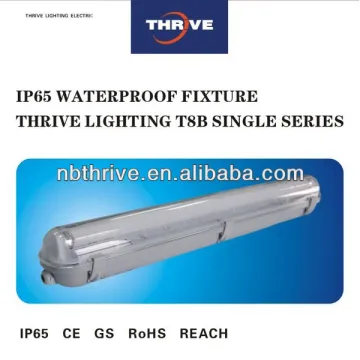 Ningbo Thrive LED lighting