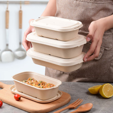 Eco-Friendly Degradable Bagasse Lunch Box for Healthy Light Meals