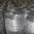 Mesh Wire Mesh Termurah