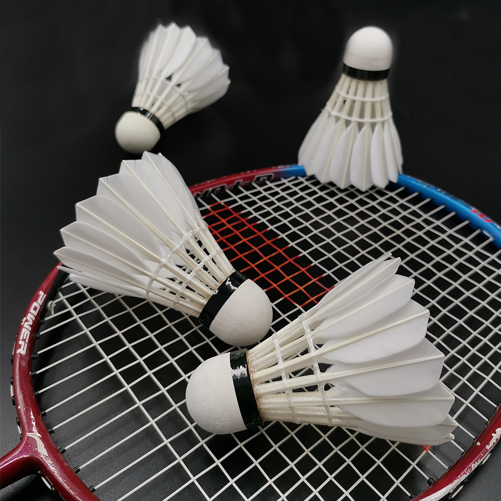 Outdoor Sporting Badminton