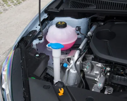 Binrui 2024: The Premier 1.5 Ton Digital Camera Champion Edition