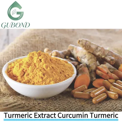 Turmeric Extract Curcumin-Rich Ingredient Nutritional Cosmetic