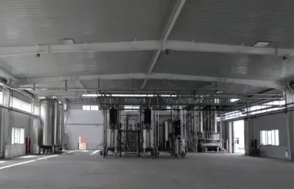 astragalus extract astragalus roots