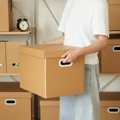 Secure Mailbox for Home Delivery