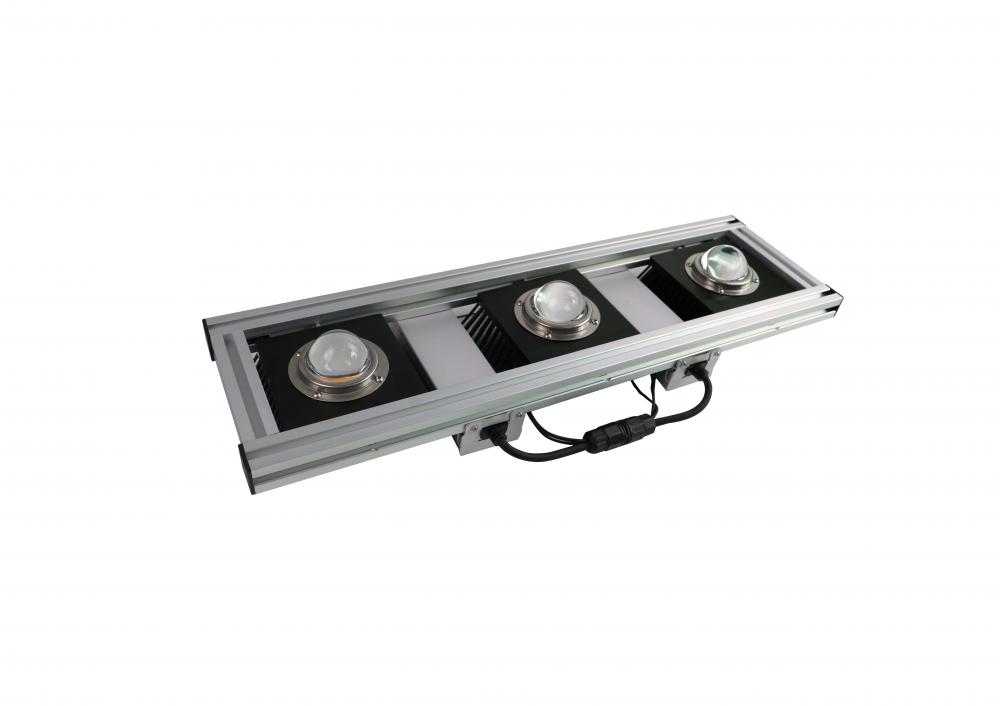 300W COB LED Grow Light dari kilang yang dipimpin