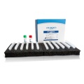 Kit de PCR en tiempo real multiplex para el gen de resistencia a carbapenem