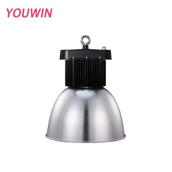 YOUWIN High Performance 150W/200W/100W LED Lights for Warehouse, Greenhouse, Workshop, and Gymnasium
