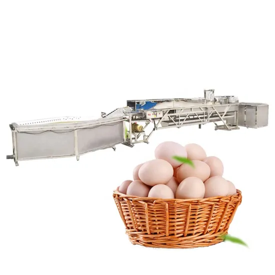 Customized Egg Washing Production Line with Brushing and Sterilization for Clean Eggs