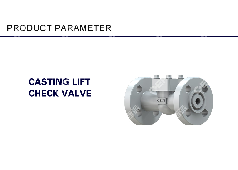 Casting Lift Check Valve