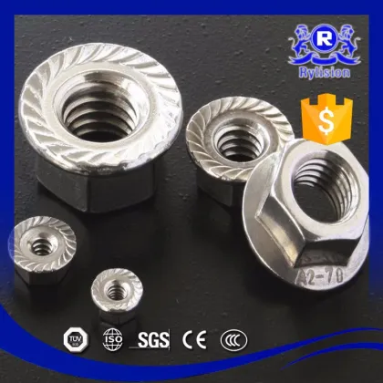 OEM Turning Parts Non-standard Nuts