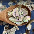 Abalone Shell for Liver Calming and Wind Control