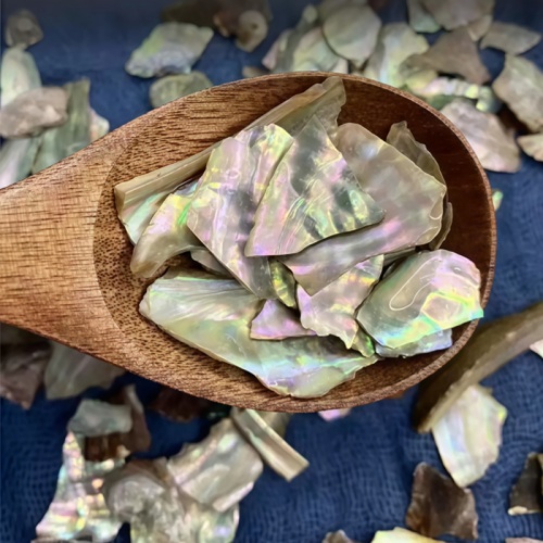 Abalone Shell for Liver Calming and Wind Control
