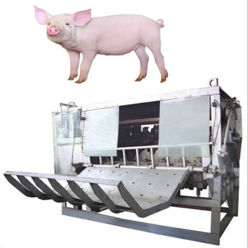Pig and Cattle Slaughtering Services