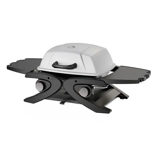 Esun 2 Burner Portable Outdoor Gas Grill in White Color CE LFGB Ista