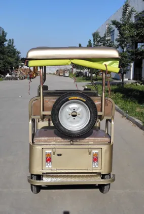 China made 800w tuk tuk for indian market