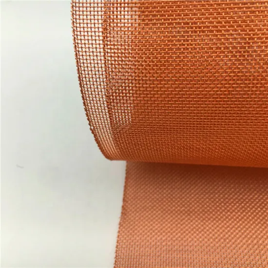 100 Mesh Plain Weave Copper Phosphor Bronze Wire Mesh Screen