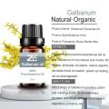 100% puro de óleo terapêutico natural Galbanum Óleo essencial