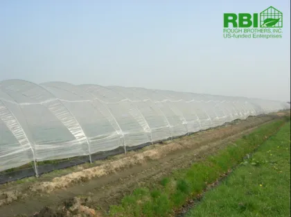 low cost greenhouse tunnel greenhouse single span greenhouse