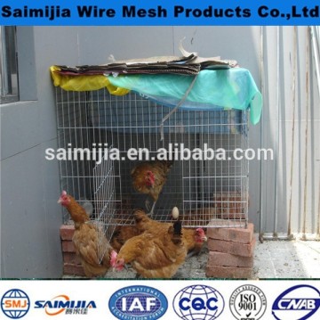 Anping hexagonal chicken wire mesh