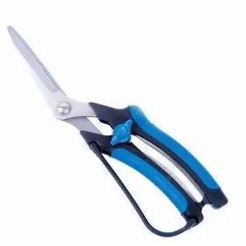 10 Inches Stationery Scissors, Various Styles are Available