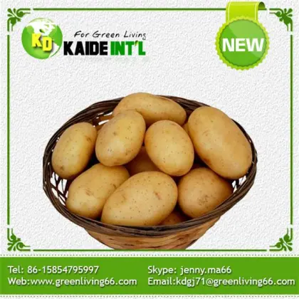 Palatable Cheap Fresh Potatoes