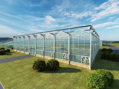Soilless Cultivation Hydroponics System glass Greenhouse