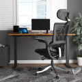 Höhenverstellbarer Executive Desk Dual Motor