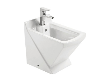 modern bidet set installation amazon