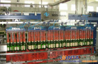 Intelligent Automatic Unpacker Machine With Modular Design Wsd-xx72