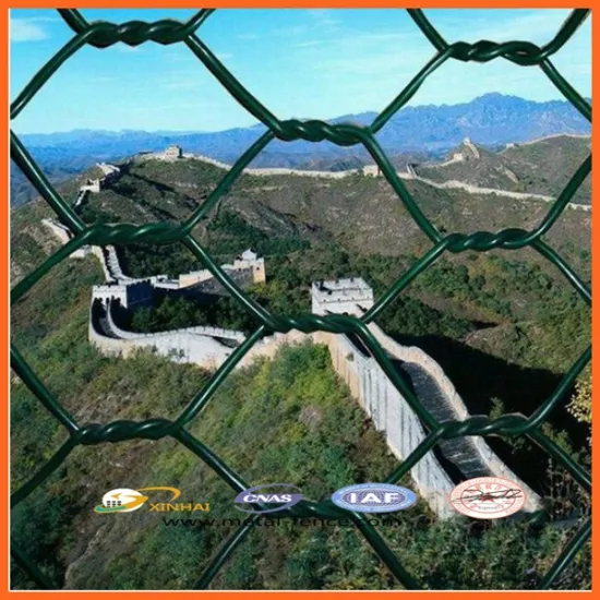 High quality galvanized Hexagonal Wire Mesh , good price hexagonal wire mesh