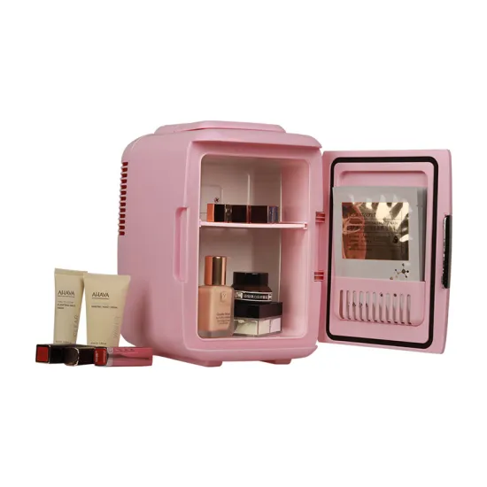Custom Beauty Skin Care 12v Refrigerator with Mirror