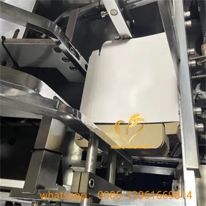 Automatic Cartoning Box Sealing Packing Machine