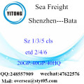 Shenzhen Port Sea Freight Shipping To Bata