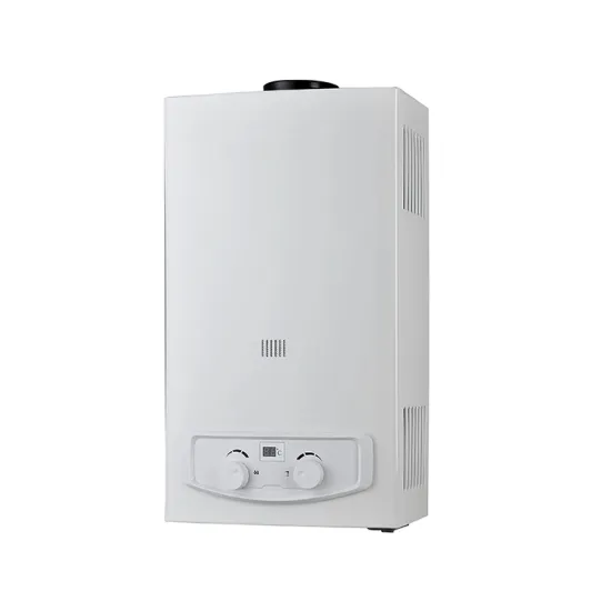 6-20L High Efficiency Gas Water Heater