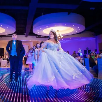 Disco DJ Light: Color-Changing DMX RGB LED Dance Floor for Sale