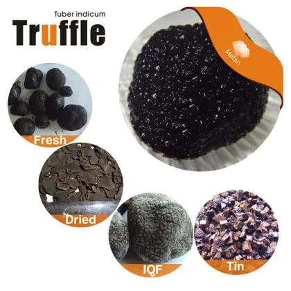 Delicious Frozen Black Truffles mushroom Wild