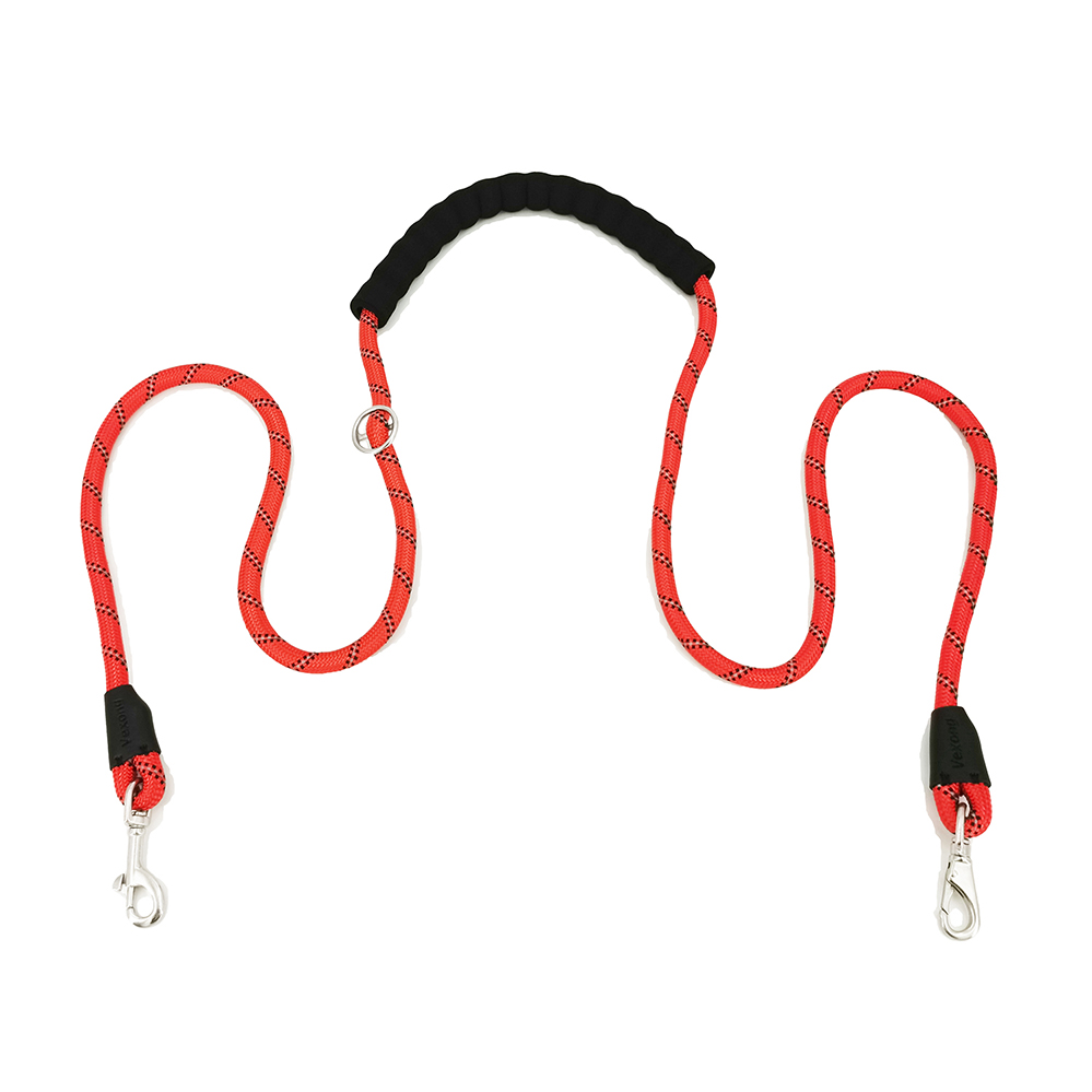 dog leash kong