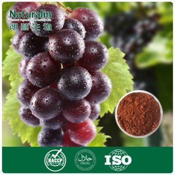 100% water soluble grape seed extract high orac value for anti-oxidants