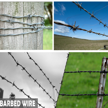 alibaba china cheap barbed wire for sale /galvanized barbed wire