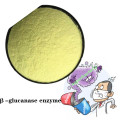 Buy online CAS9025-70-1 glucanase lichenase biofilms powder