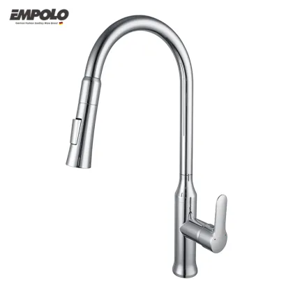 New Model European Gourmet Mixer Kitchen Tap
