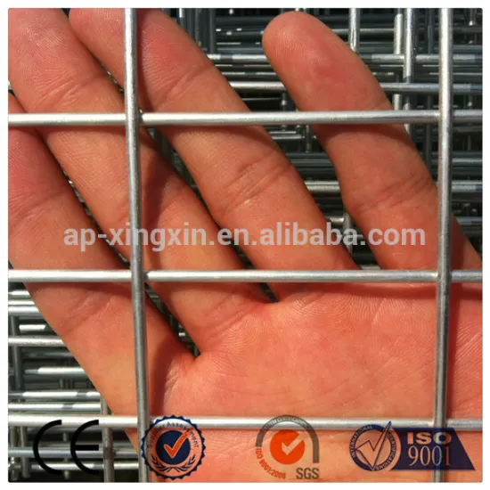 2x2 galvanized welded wire mesh, welded wire mesh panel (PA - 003)
