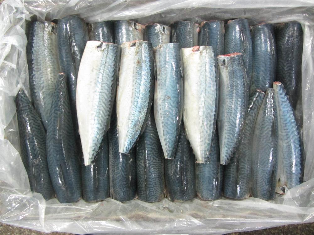 Nutritional Frozen Mackerel