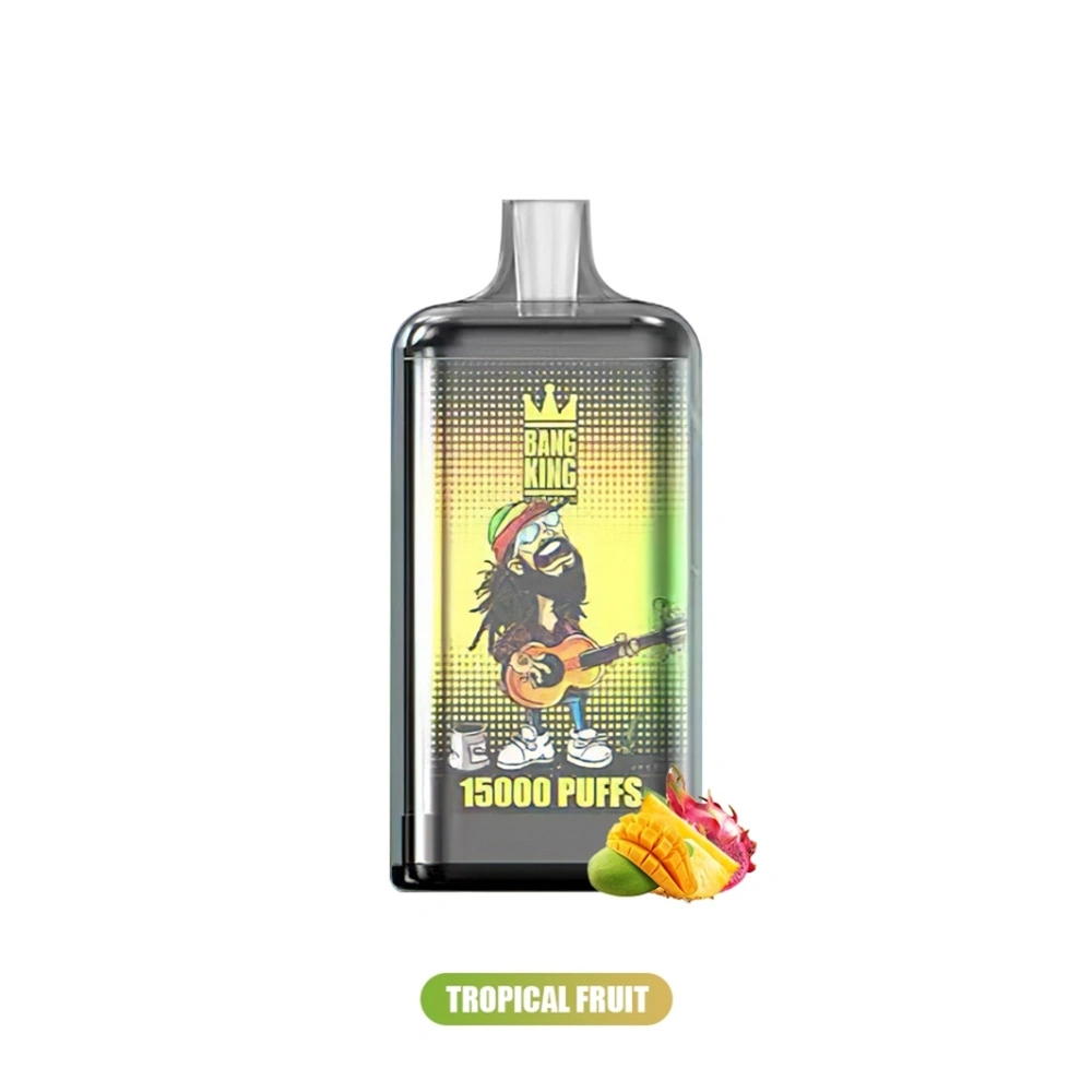 elfbar nachfüll pod läuft aus Original Bang King 15000 Puffs za jednokratnu upotrebu Kina proizvođač