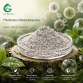 Pochonia Chlamydosporia مسحوق فطريات التحكم البيولوجي