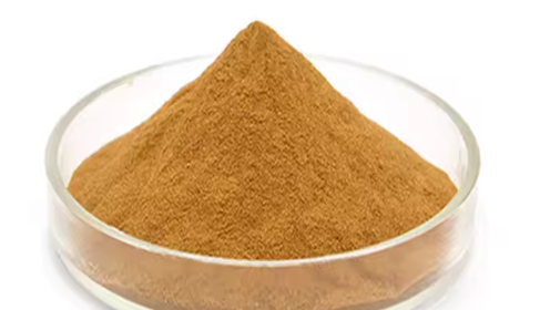brahmi bacopa monnieri extract