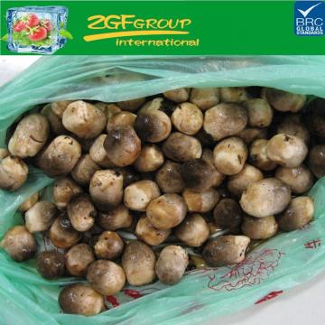 2016 new crop IQF straw mushroom best price