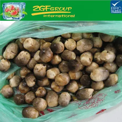 2016 new crop IQF straw mushroom best price