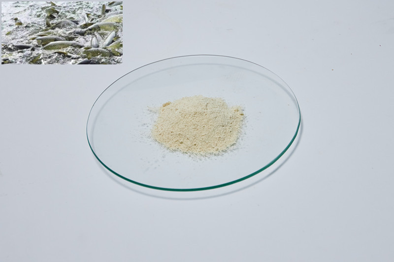 Professional soy lecithin powder